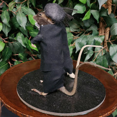 Rat Taxidermy, Pulp Non-Fiction