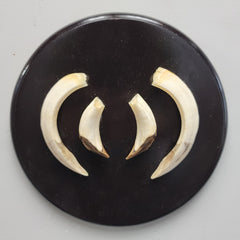 Warthog Tusk Set C