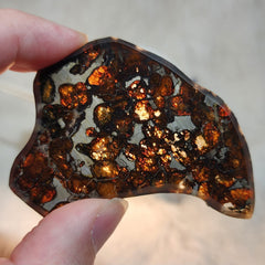 Sericho Pallasite Meteorite A (2.25