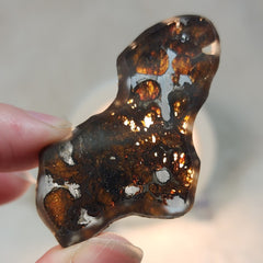 Sericho Pallasite Meteorite C (2.25