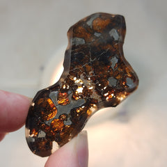 Sericho Pallasite Meteorite C (2.25