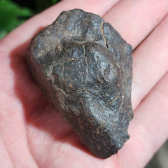 Meteorite, NWA (59.69g)