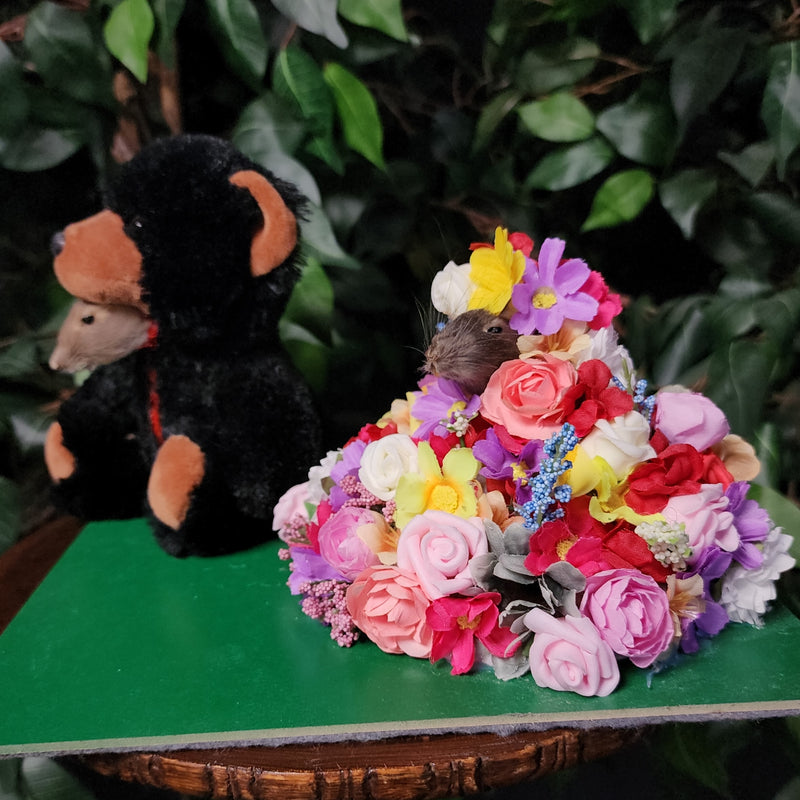 Rat Taxidermy, Mousesommar