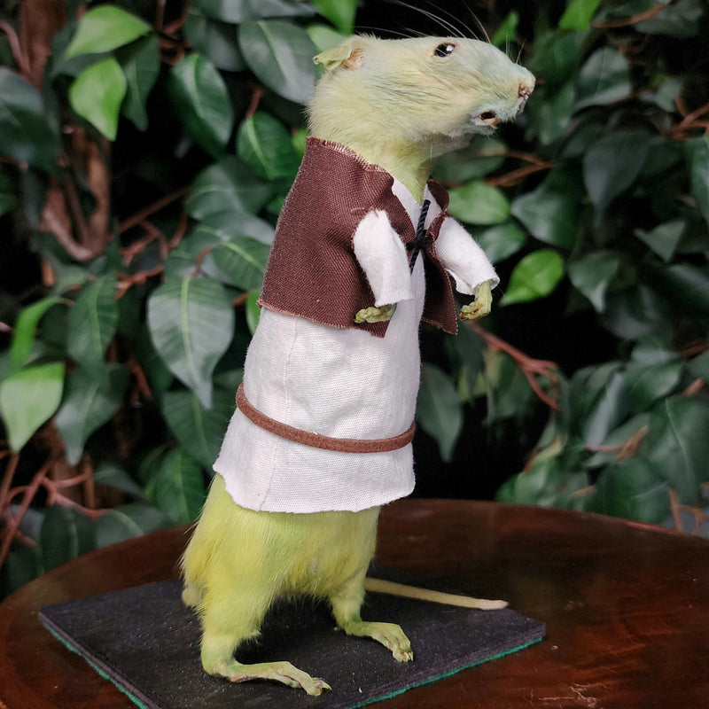 Rat Taxidermy, Swamp Ogre