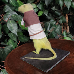 Rat Taxidermy, Swamp Ogre