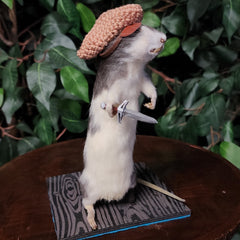 Rat Taxidermy, Pirat