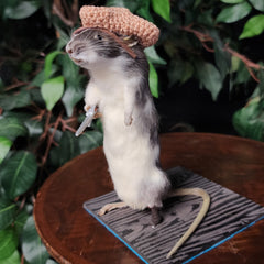 Rat Taxidermy, Pirat