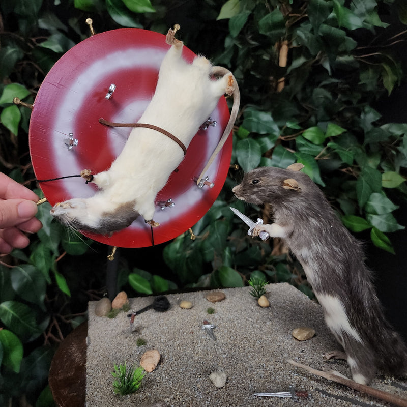 Rat Taxidermy, Sideshow Squeekers