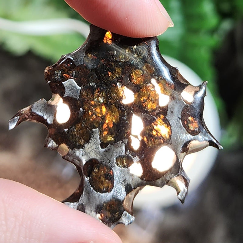 Sericho Pallasite Meteorite D (1.5")