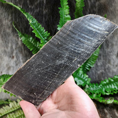 Bowhead Whale Baleen, Segment (ONTARIO ONLY)