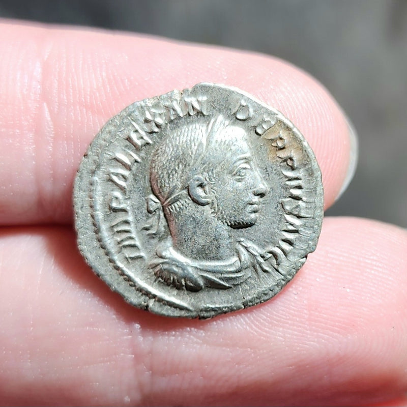 Roman Emperor Severus Alexander Denarius B