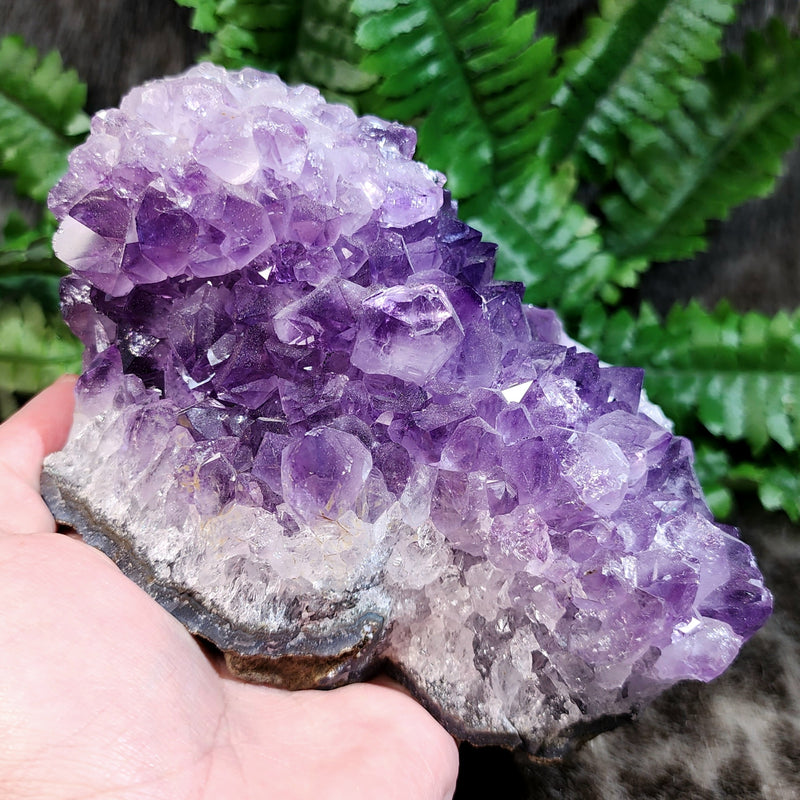 Amethyst Crystal Cluster A (6")