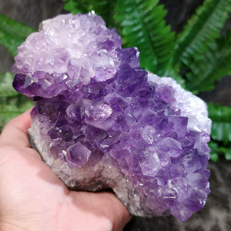 Amethyst Crystal Cluster A (6")