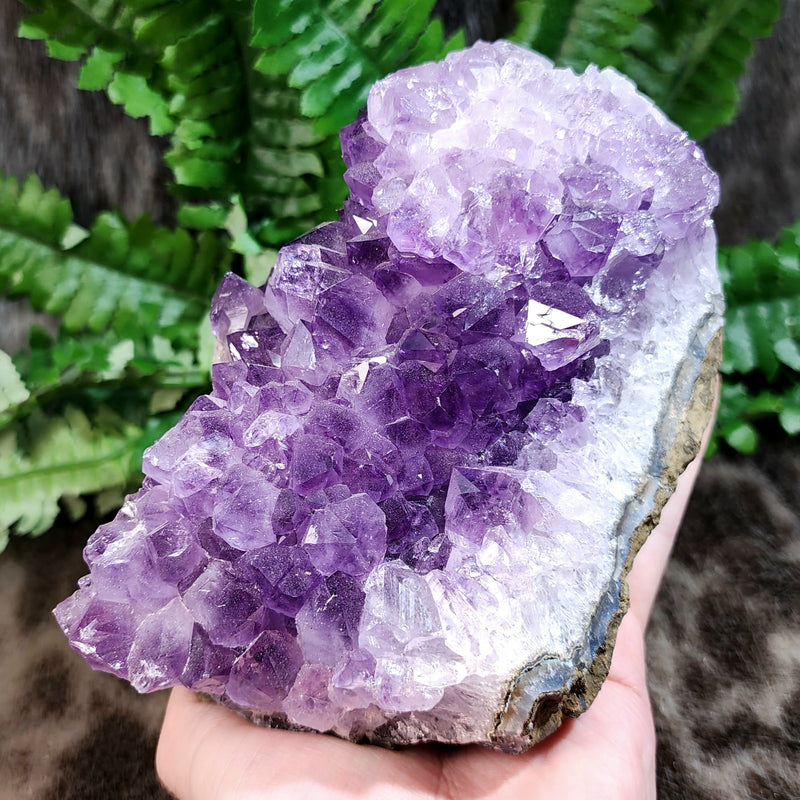 Amethyst Crystal Cluster A (6")