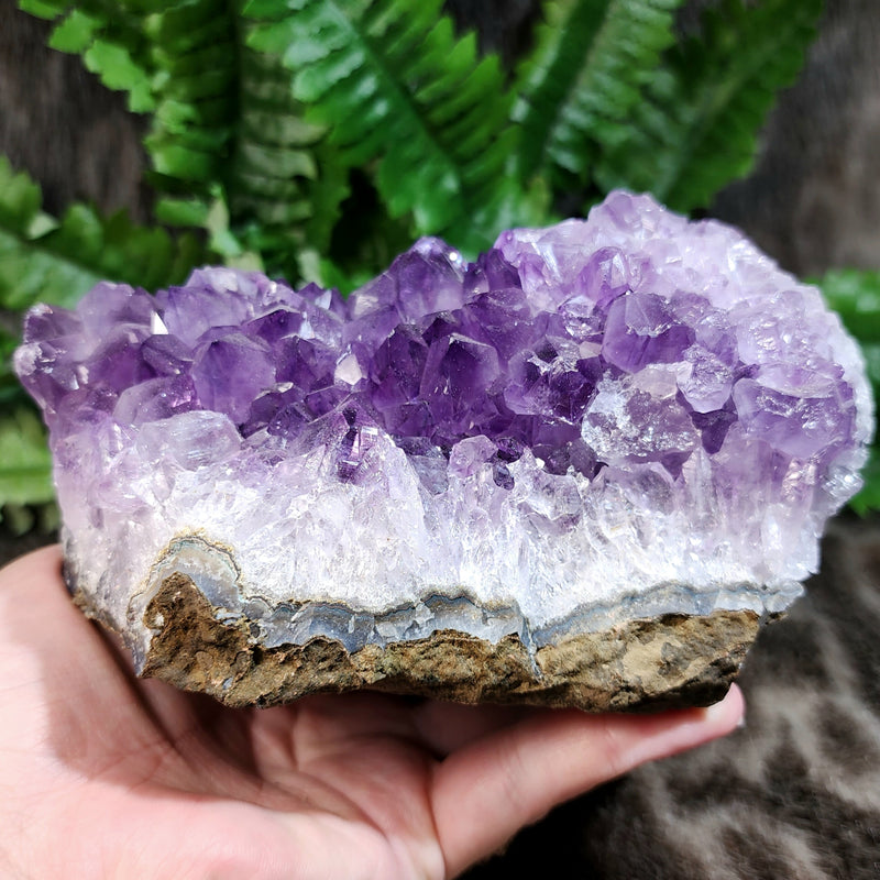 Amethyst Crystal Cluster A (6")