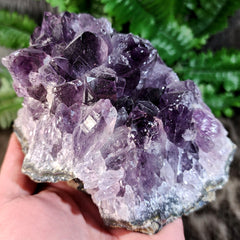 Amethyst Crystal Cluster B (5.25