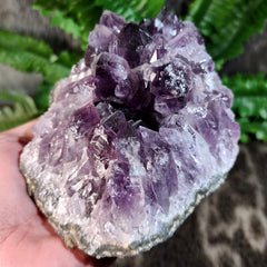 Amethyst Crystal Cluster B (5.25