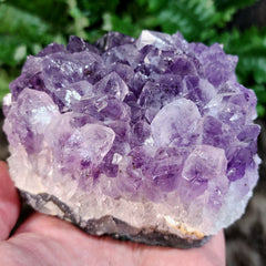 Amethyst Crystal Cluster C (3.75