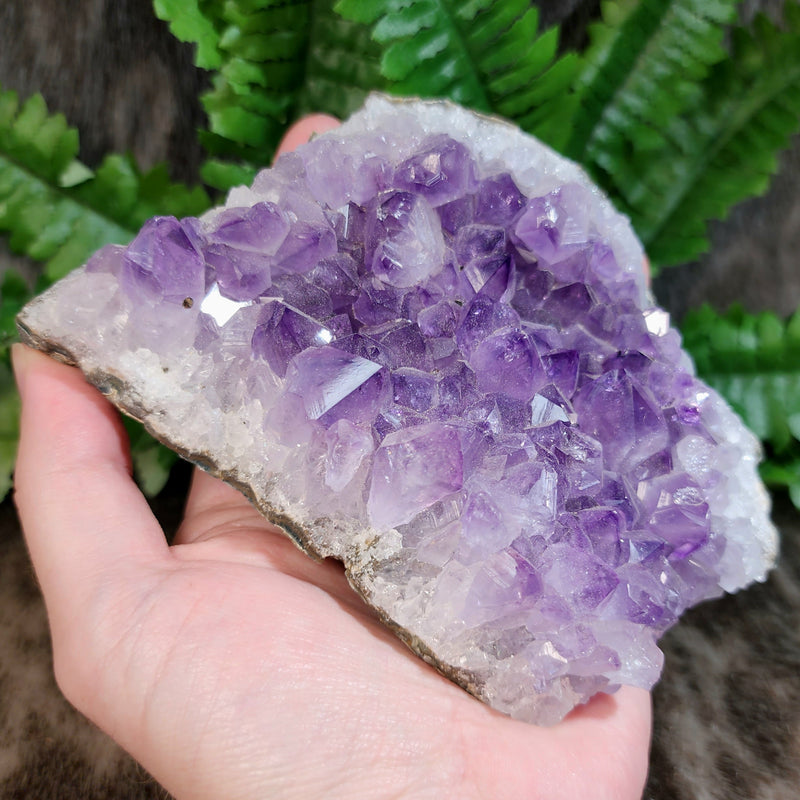 Amethyst Crystal Cluster D (5")