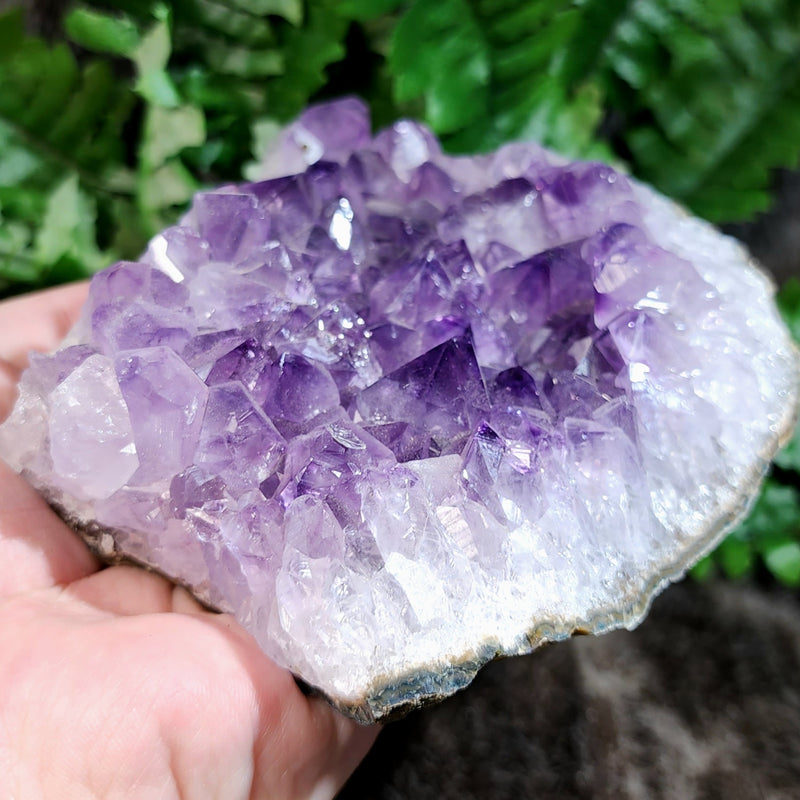 Amethyst Crystal Cluster D (5")