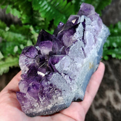 Amethyst Crystal Cluster E (6