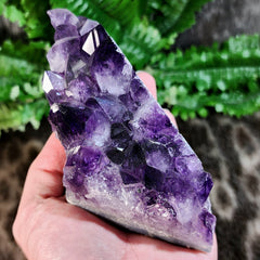 Amethyst Crystal Cluster E (6
