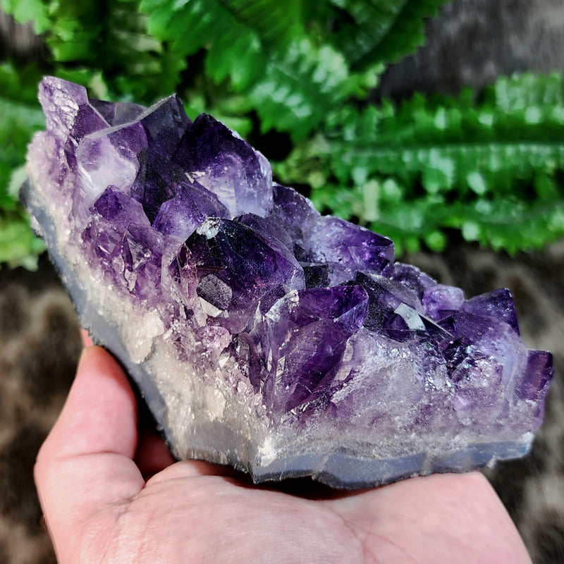 Amethyst Crystal Cluster E (6")