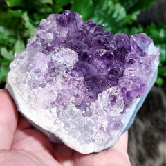 Amethyst Crystal Cluster F (3.5