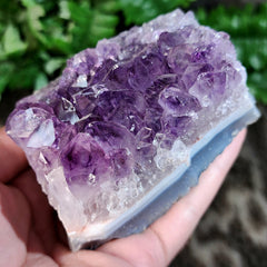 Amethyst Crystal Cluster F (3.5