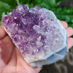 Amethyst Crystal Cluster F (3.5