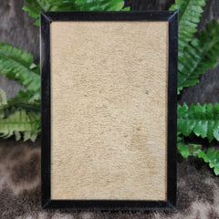 Lion Fur Frames (Antique)