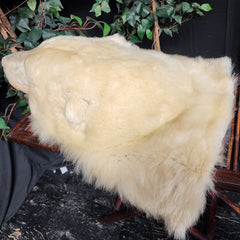 Polar Bear Rug Head, Vintage