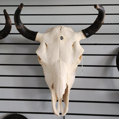 Bull Skulls (SALE)