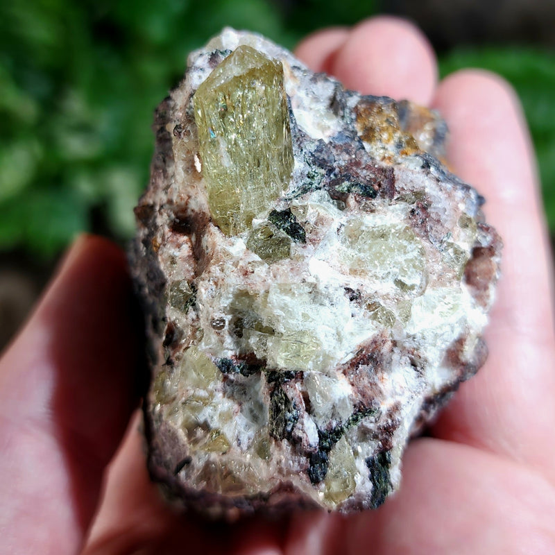 Apatite Crystals, Mexico C (3")