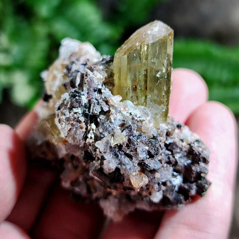 Apatite Crystals, Mexico D (2.5")