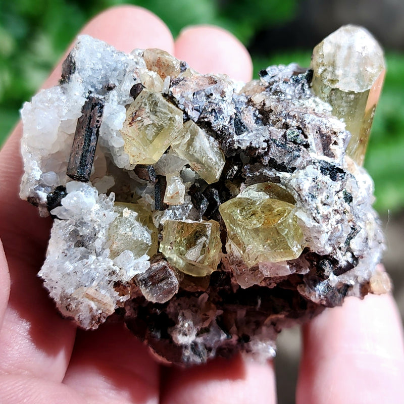 Apatite Crystals, Mexico D (2.5")