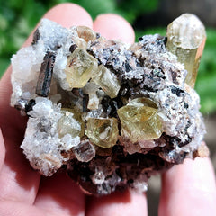 Apatite Crystals, Mexico D (2.5