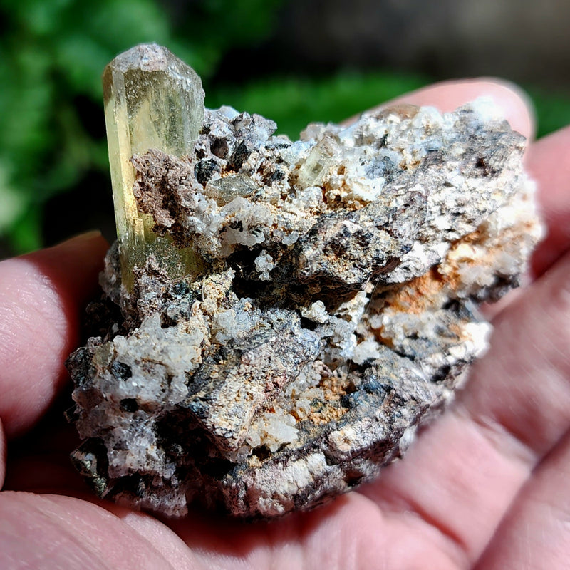 Apatite Crystals, Mexico D (2.5")
