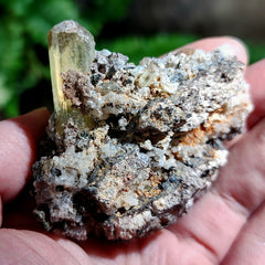 Apatite Crystals, Mexico D (2.5