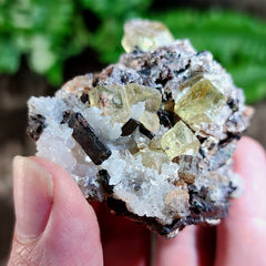 Apatite Crystals, Mexico D (2.5