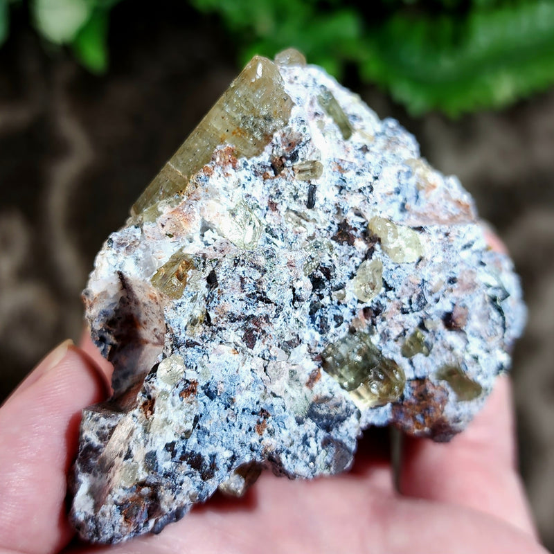 Apatite Crystals, Mexico E (3")