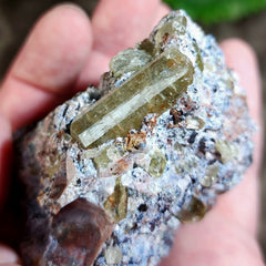 Apatite Crystals, Mexico E (3