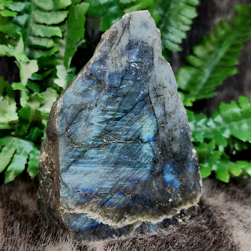 Labradorite Slabs, Polished (4-5")