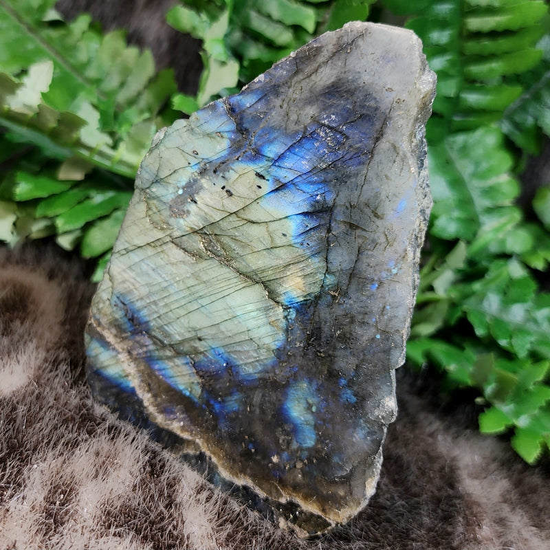 Labradorite Slabs, Polished (4-5")