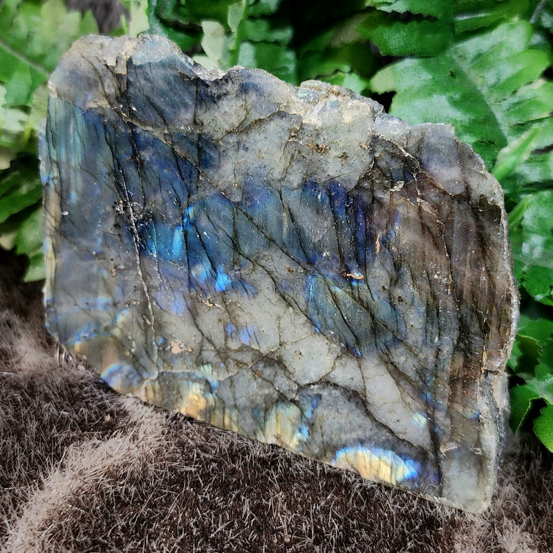 Labradorite Slabs, Polished (4-5")