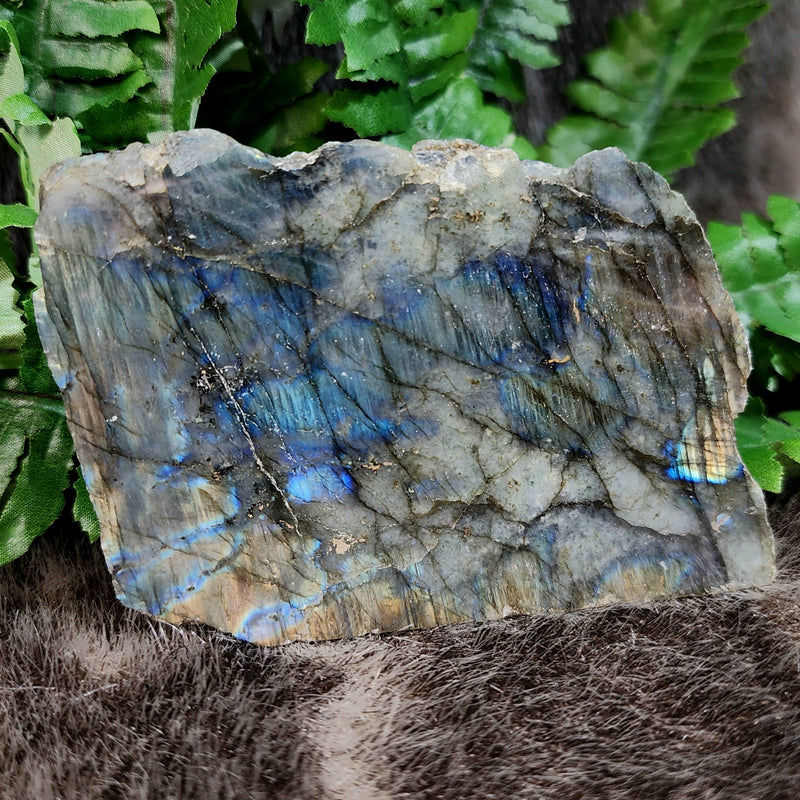 Labradorite Slabs, Polished (4-5")