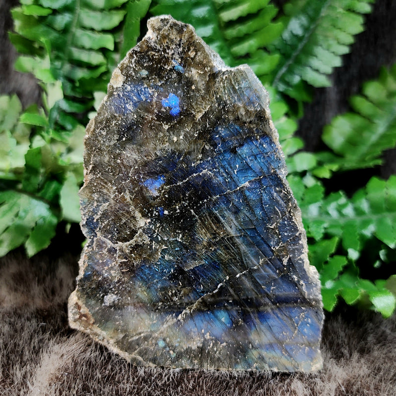 Labradorite Slabs, Polished (4-5")