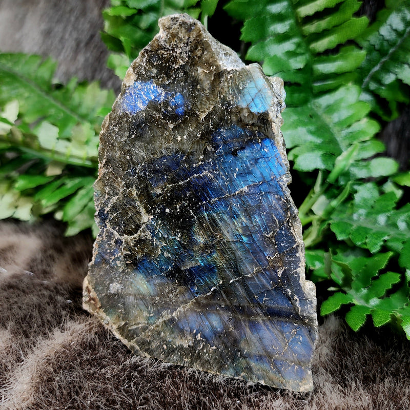 Labradorite Slabs, Polished (4-5")