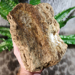 Sumatran Petrified Wood & Amber, XL A (7