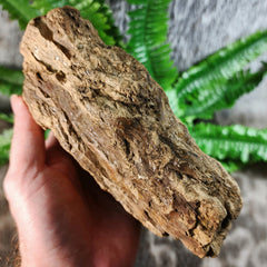 Sumatran Petrified Wood & Amber, XL A (7